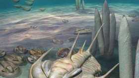 New 'King' of Fossils (IMAGE)