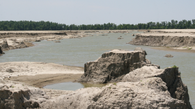 2011 Lower Mississippi flood