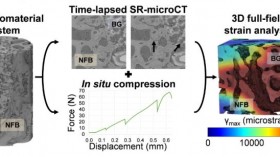 Experiment Graphic (IMAGE)