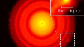 ALMA Image of the Protoplanetary Disk around the Young Star TW Hydrae (IMAGE)