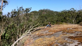 Lead Author in the Field on a Lichen-Covered Rock (IMAGE)