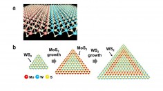 Structure of a Perfect TMDC Heterostructure Interface (IMAGE)