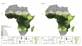 africa malaria