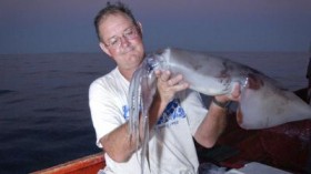 Humboldt Squid 2 (IMAGE)