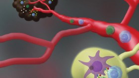 Nano-Vaccine Mechanism of Action (IMAGE)