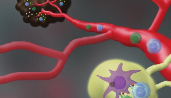 Nano-Vaccine Mechanism of Action (IMAGE)