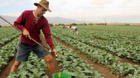 Eric Brennan in Field (IMAGE)