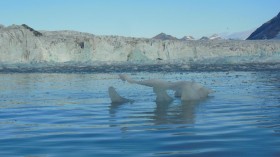 Sea Ice (IMAGE)