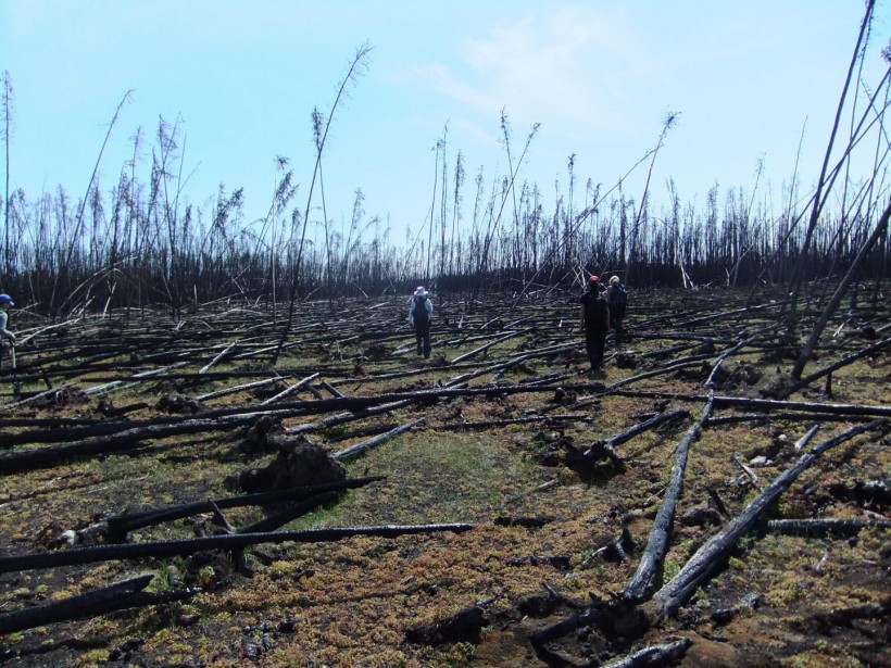 Boreal Forest Fires Could Release Deep Soil Carbon (IMAGE)