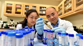 Dr. Yaoling Tang and Postdoctoral Fellow Dr. Xuan Su (IMAGE)