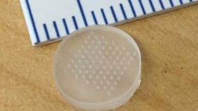 Skin Patch Could Painlessly Deliver Vaccines, Cancer Medications in One Minute (IMAGE)