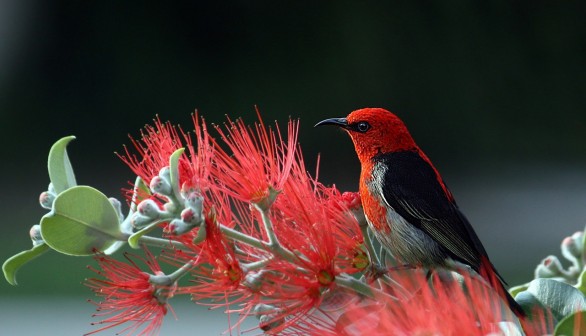 Invest in nature - Socially Responsible Investing