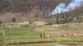 Deforestation in Madagascar (IMAGE)