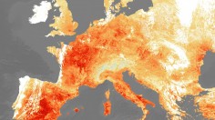 ESA 2019 Heatwaves (IMAGE)