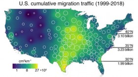 Average Yearly Migration Traffic across the Continental United States, 1999-2018 (IMAGE)