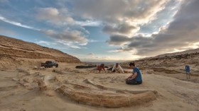 paleontologists study several fossil whale skeletons at Cerro Ballena