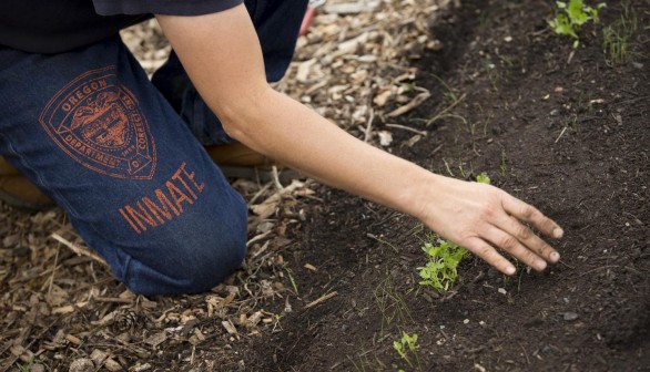 Inmate Tending Plants (image)