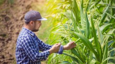 Combining Technology And Nature