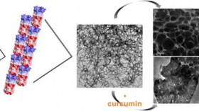 Steps to a Hydrogel that Can Deliver Drugs (image)