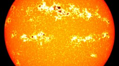 Sunspot Image (image)