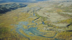 Alaska, Bristol Bay, Salmon