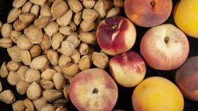 Almonds & Peaches (image)