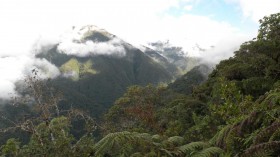 Peruvian Mountainside (IMAGE)
