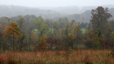 Hoosier National Forest 