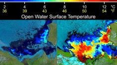 These images show sea surface temperatures of the Beaufort Sea where Canada's Mackenzie River discharges into the Arctic Ocean, as measured by the Moderate Resolution Imaging Spectroradiometer (MODIS)