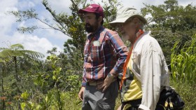 U-M doctoral student Zachary Hajian-Forooshani and U-M ecologist John Vandermeer survey a Puerto Rican coffee farm