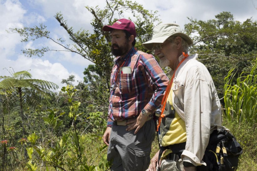 U-M doctoral student Zachary Hajian-Forooshani and U-M ecologist John Vandermeer survey a Puerto Rican coffee farm