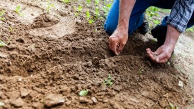 Top Reasons to Get Down and Dirty in the Garden
