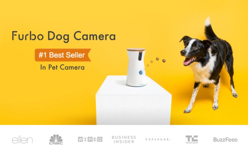 Dog Camera