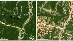 Satellite images used in the study show deforestation and elevated suspended sediment