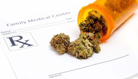 Yale University Study Will Explore Medical Marijuana Use for Stress, Other Conditions