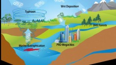 Typhoons and marine eutrophication are probably the missing source of organic nitrogen in ecosystems