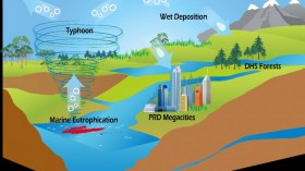 Typhoons and marine eutrophication are probably the missing source of organic nitrogen in ecosystems