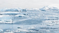 Antartica Ice Caps