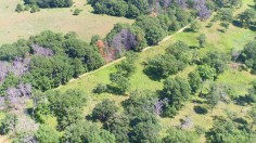 Biodiversity Examined on Two Plots of Land in Minnesota 