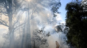 Australia Bushfire