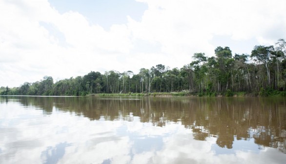 Amazon River