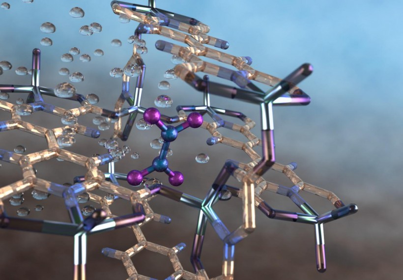 Nitrogen Dioxide Molecule Captured in a Nano-Size Pore of a Metal-Organic Framework Material