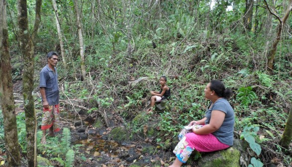  DR ANITA LATAI-NIUSULU INTERVIEWING A SAMOAN FARMER