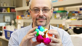 Associate Professor Oakley holding a model of the molecular structure of the DNA clamp (purple section), made with a 3D printer.