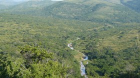  tropical grassy ecosystem 