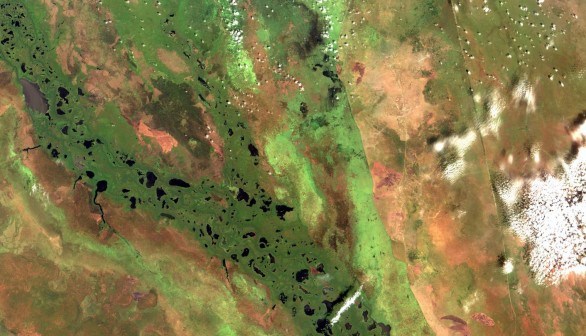 The Sudd Wetlands, South Sudan