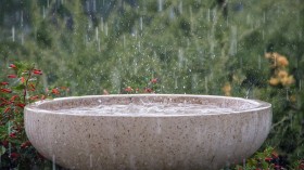 The Increasing Importance of Rainfall Harvesting