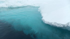 Sea ice in Weddell Sea