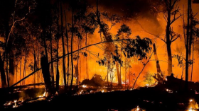 Victorian Bushfire