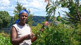 Pictured is Rose Koech, a farmer in Kenya who grows fodder trees and shrubs.